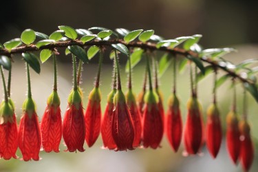 广州黄埔区私人快速借钱网，轻松解决资金难题