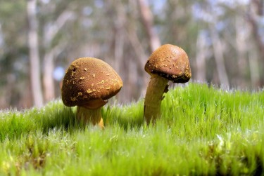 广州黄埔区私人老板放款：轻松融资的秘密通道